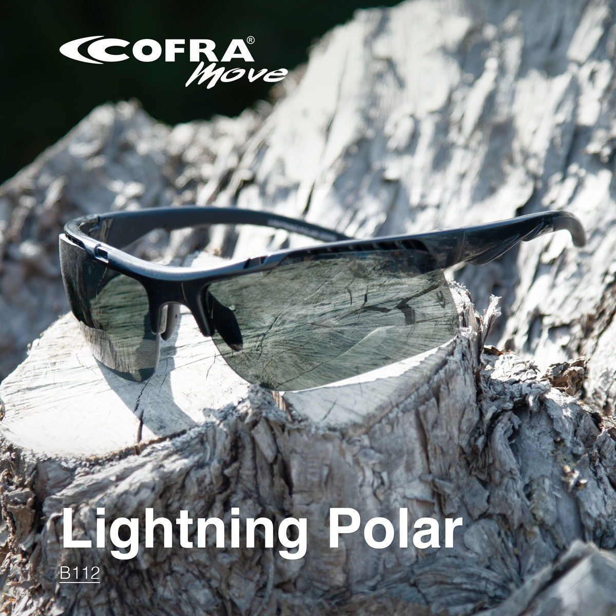 Γυαλιά πολωτικά προστασίας Cofra Lightning Polar black - Image 4