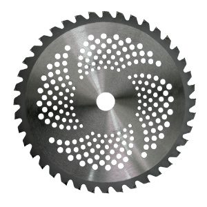 RAIDER Θαμνοκοπτικού δίσκος 40 δόντια 255MM 110230